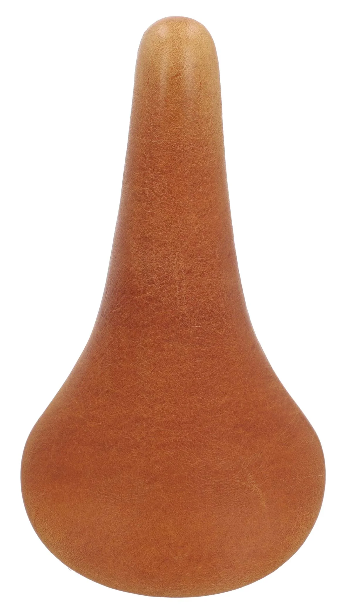Sean Y. - Image 6