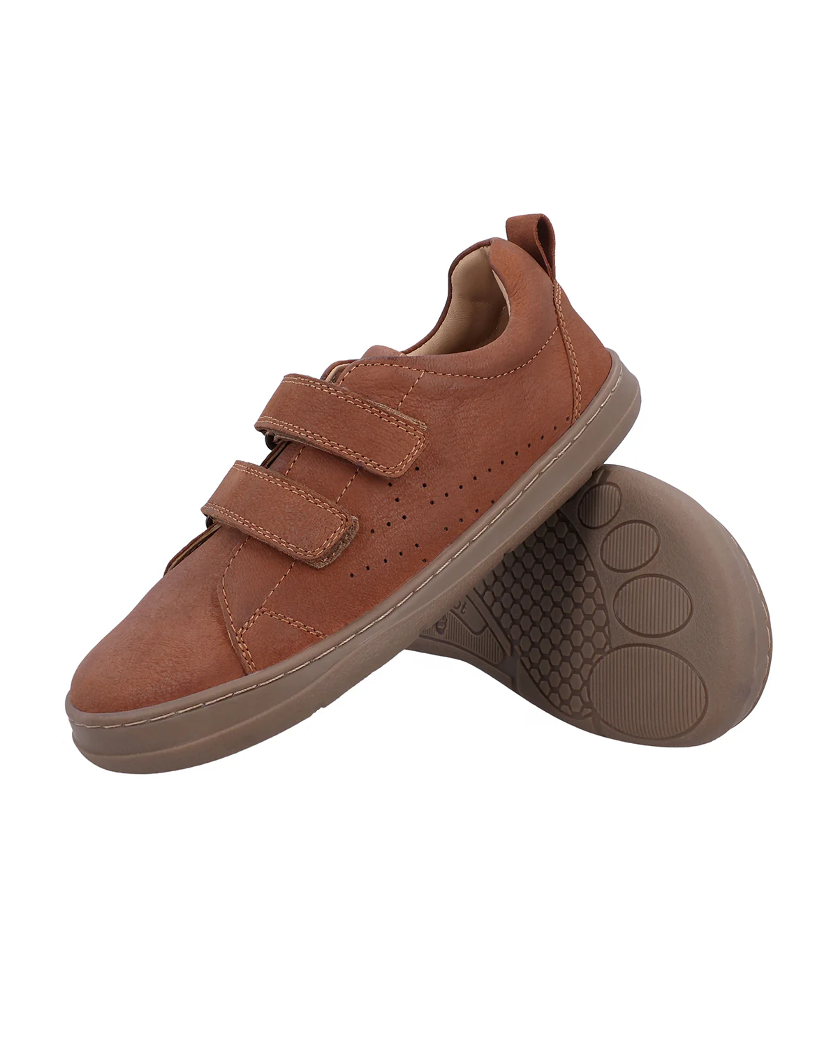 Rocco - Image 3