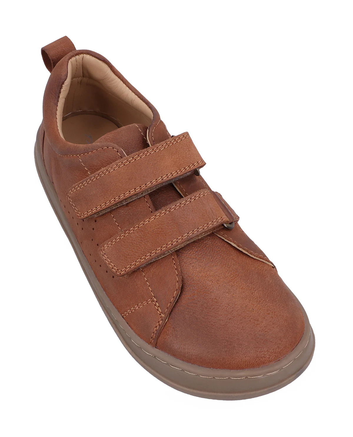 Rocco - Image 4