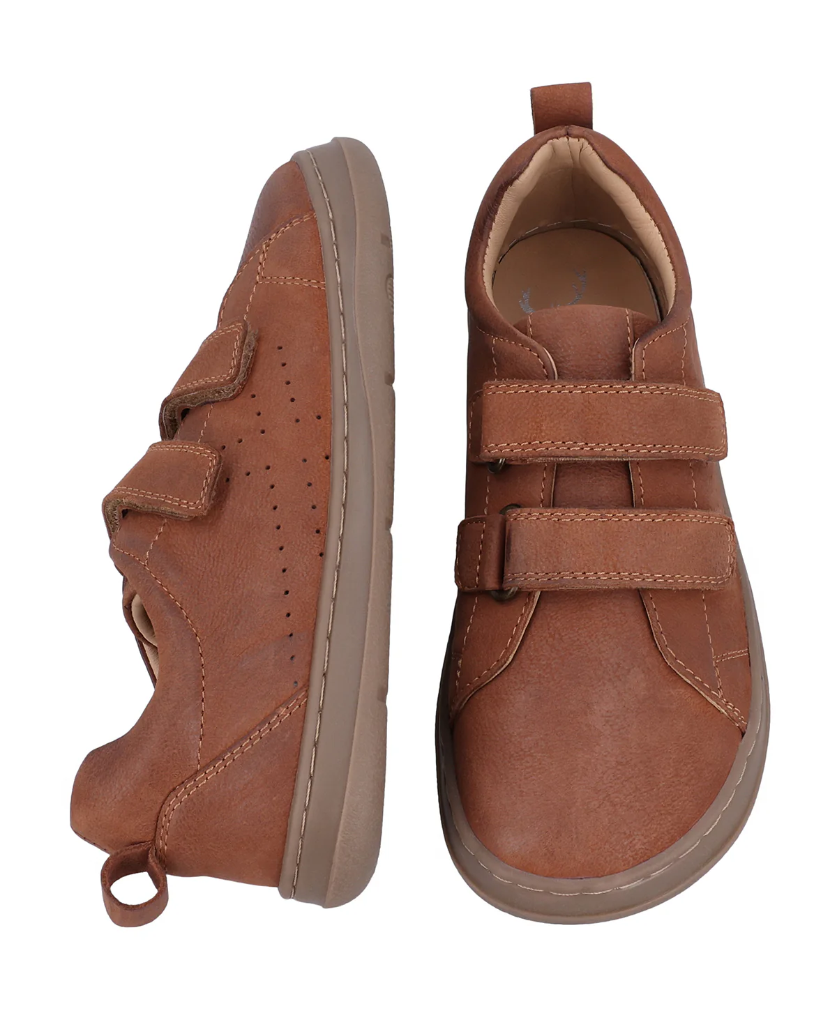 Rocco - Image 5