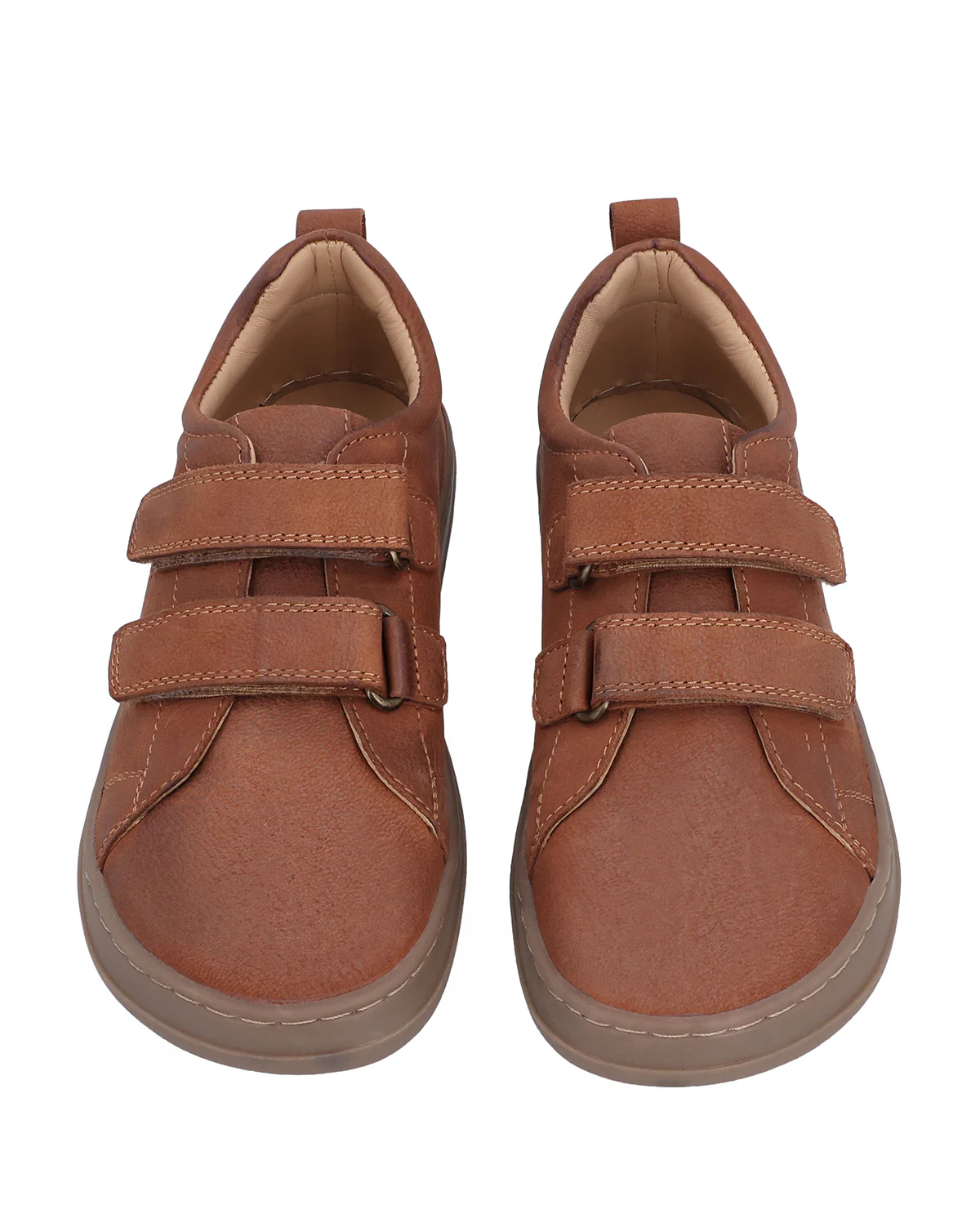 Rocco - Image 6