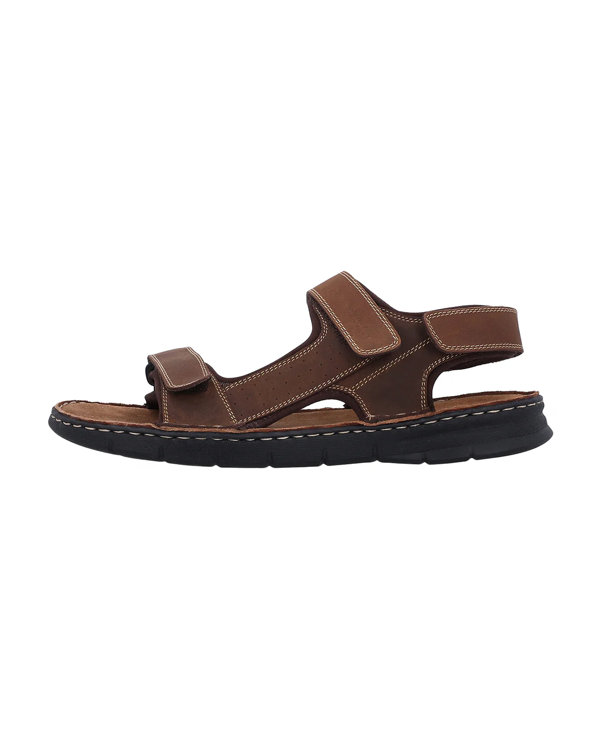 Hauke - Image 10