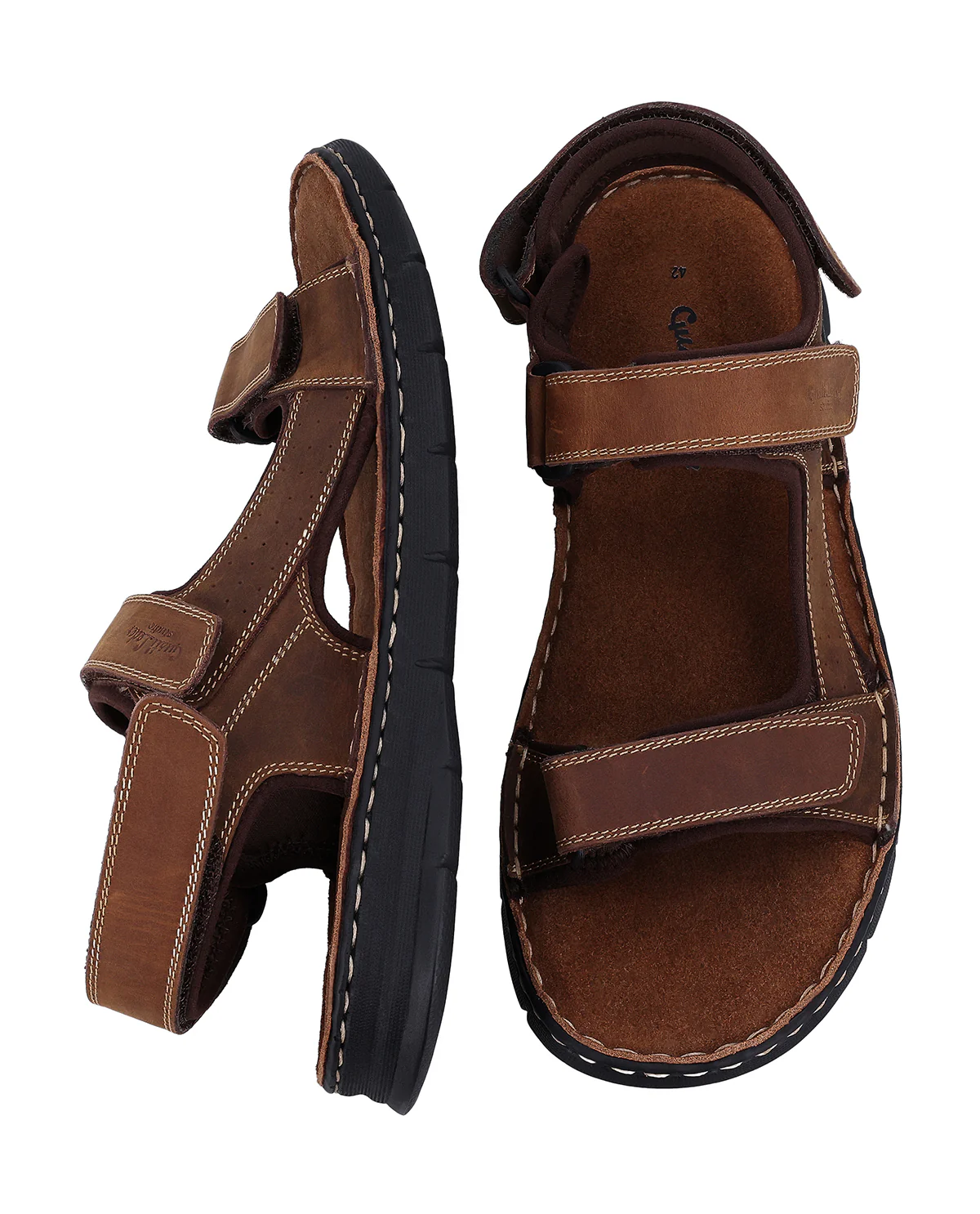 Hauke - Image 6