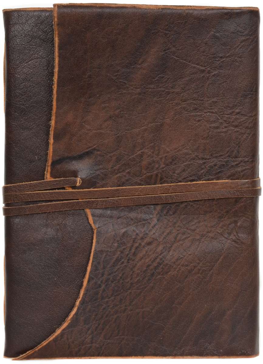 Bella - Image 5