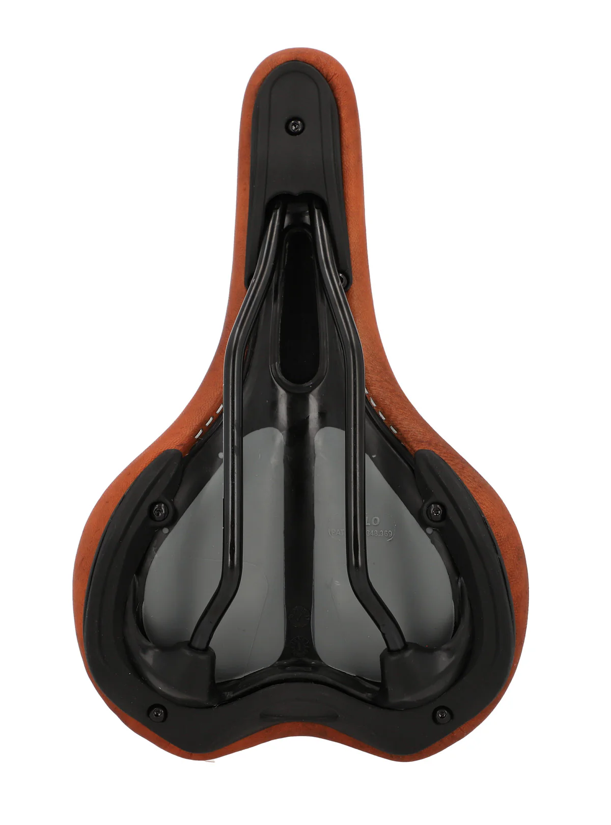 Regina S. - Image 6